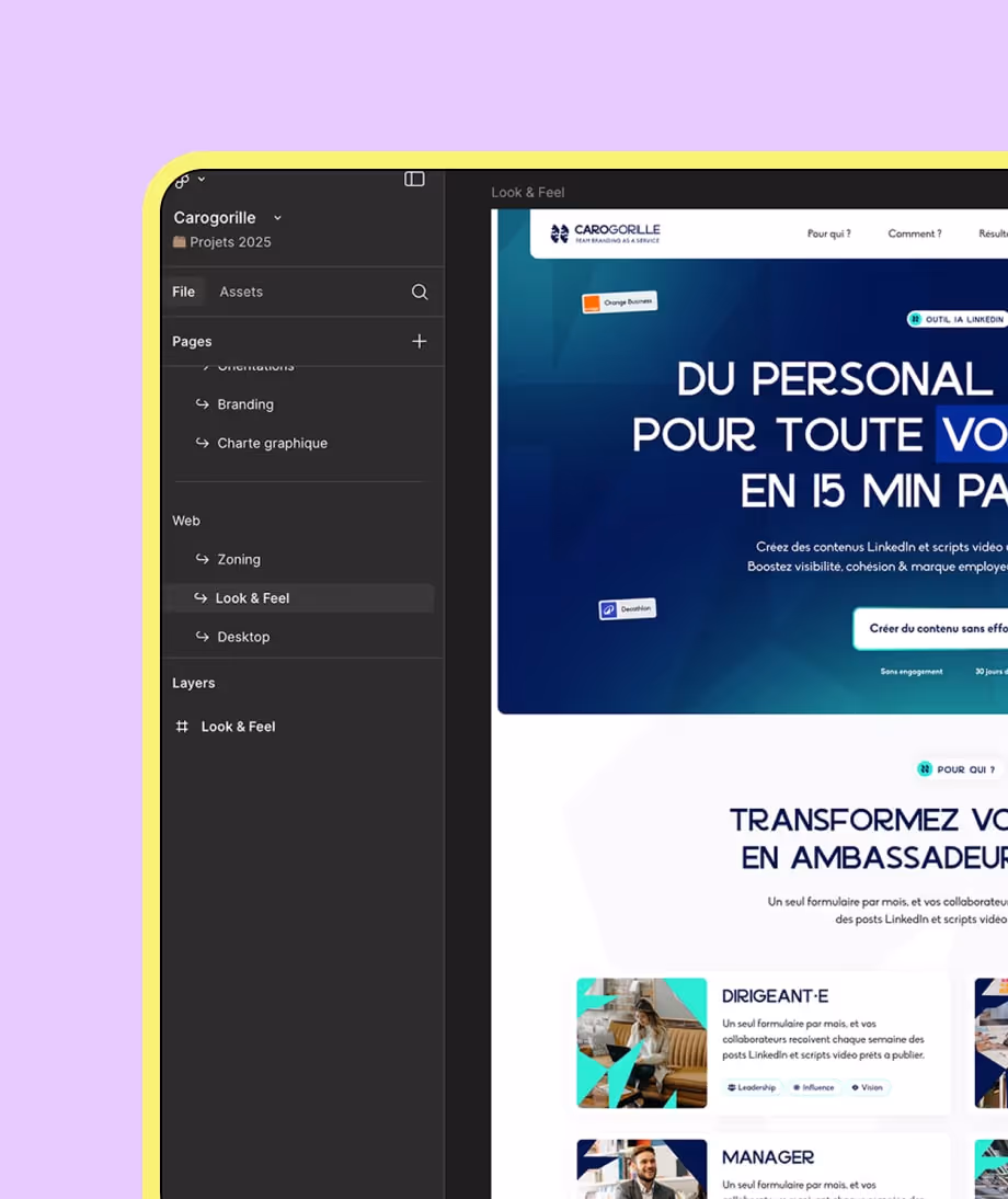visuel du back office webflow