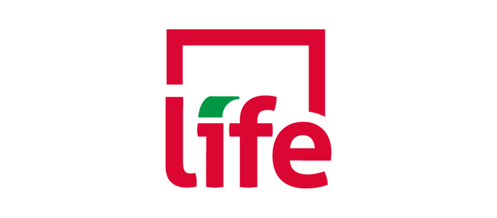 LEBANESE INTERNATIONAL FINANCE EXECUTIVES - LIFE