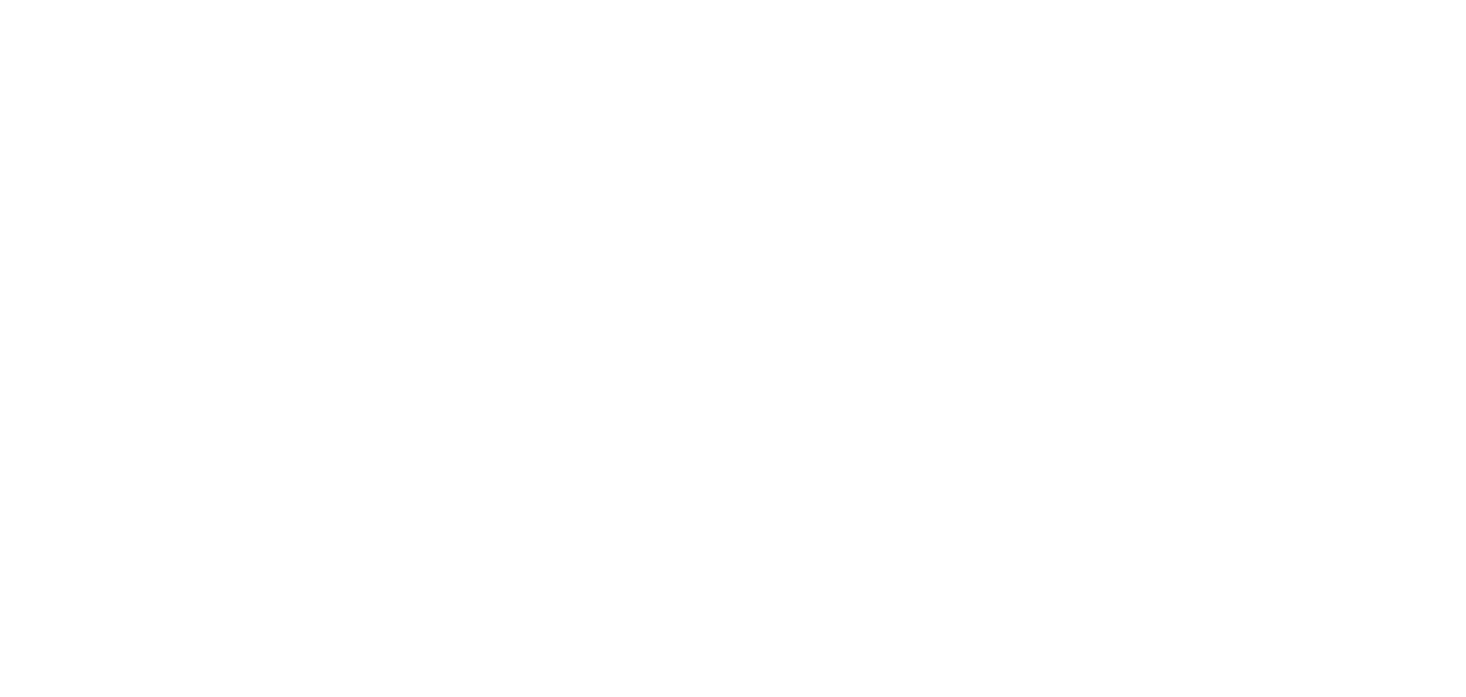 2020INC logo