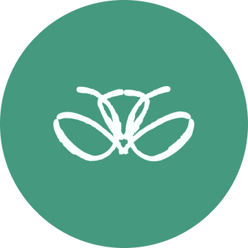 Mint Mantis Logo