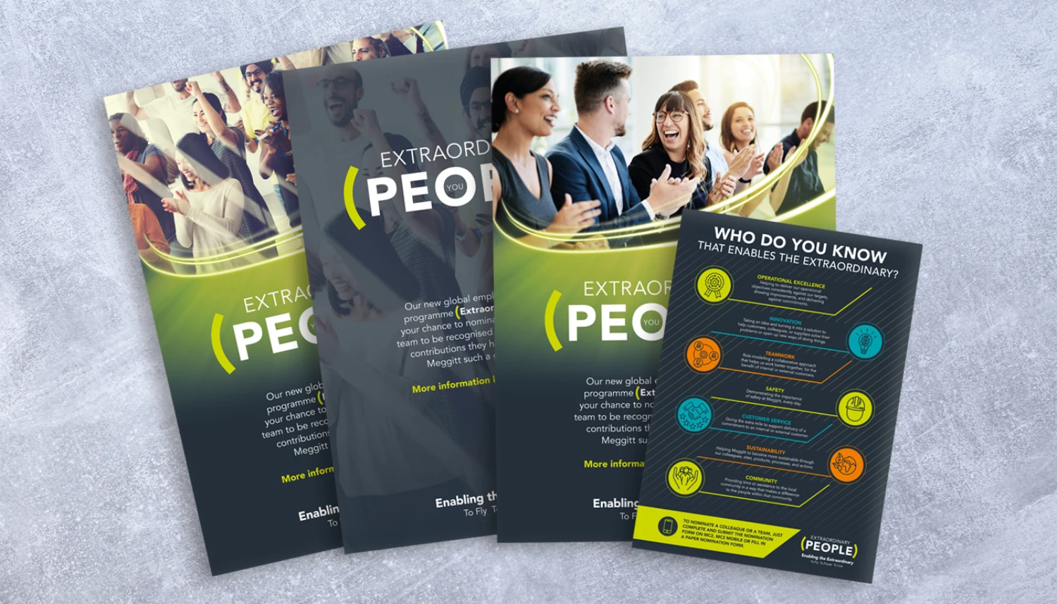 Meggitt posters in an array of sizes in grey and green colour