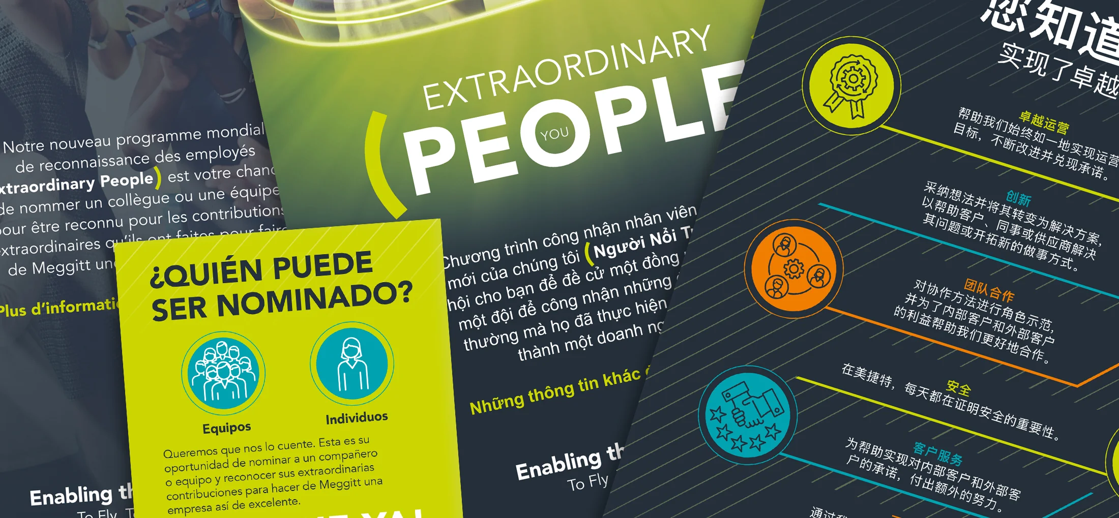 Several posters for Meggitt in different languages.