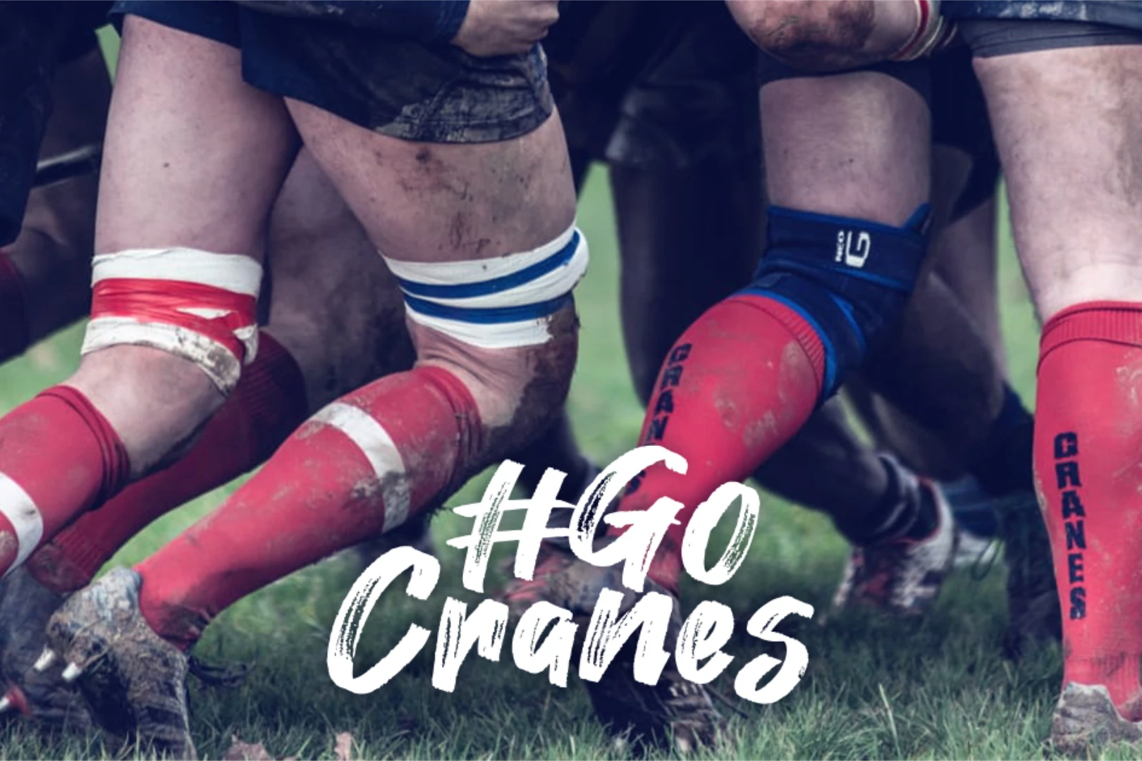 lower bodies of rugby players in a scrum in red white and blue kit with #GoCranes overlayed in white.