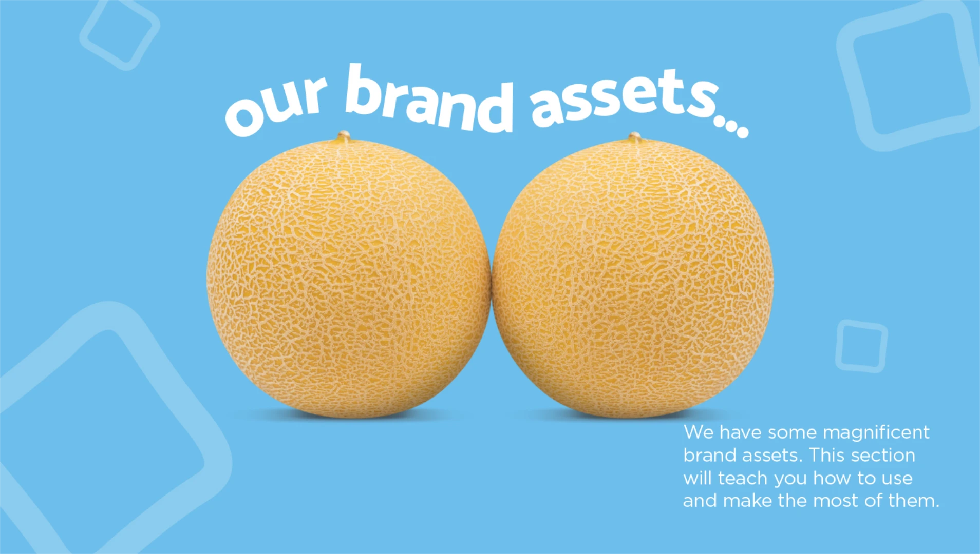 Two cantaloupe melons side by side on a blue background with the text 'our brand assets...' above them.