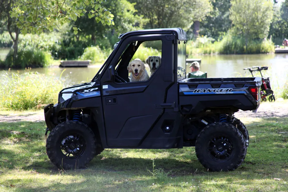 Two dogs sitting inside a black Polaris Ranger utility vehicle parked on grass near a pond with trees in the background.