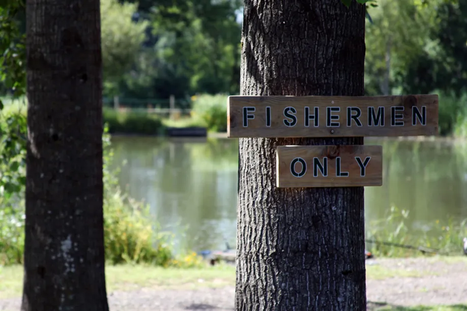 Wooden signs reading 'FISHERMEN ONLY' attached to a tree near a calm lake with greenery in the background.
