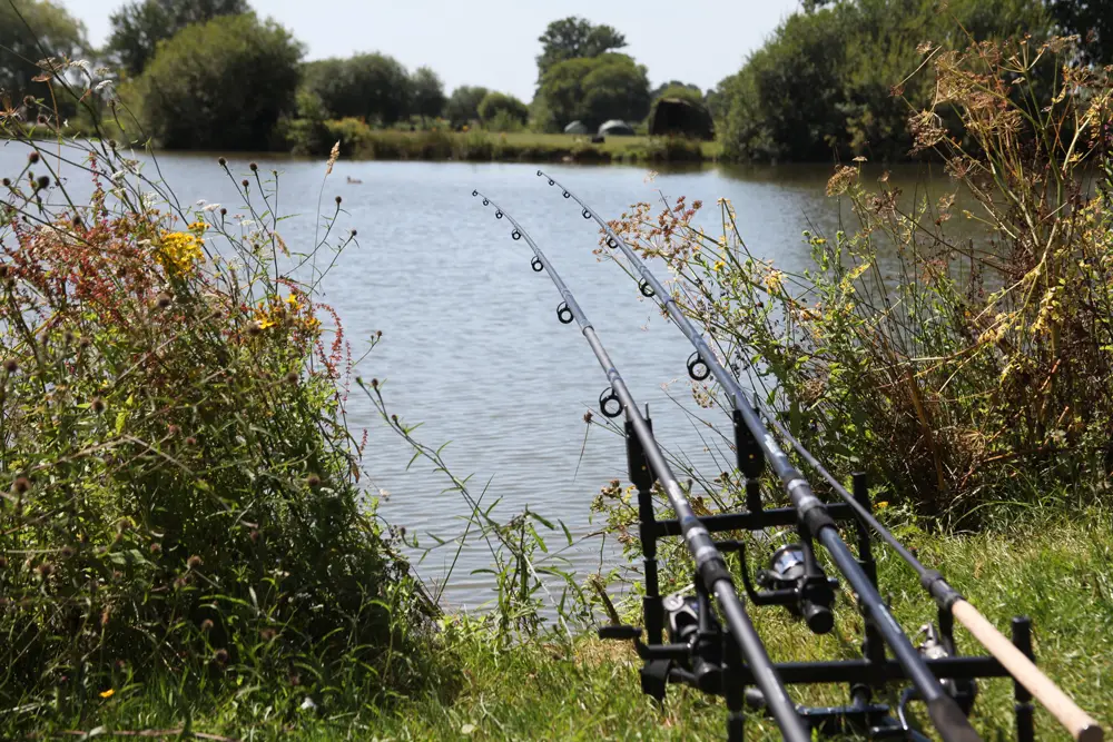 Two fishing rods set up on a holder by the edge of a lake surrounded by grass and wildflowers.