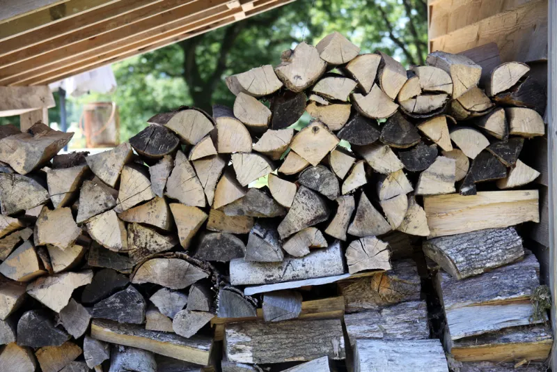 Stacked firewood neatly arranged under a wooden shelter with trees visible in the background.