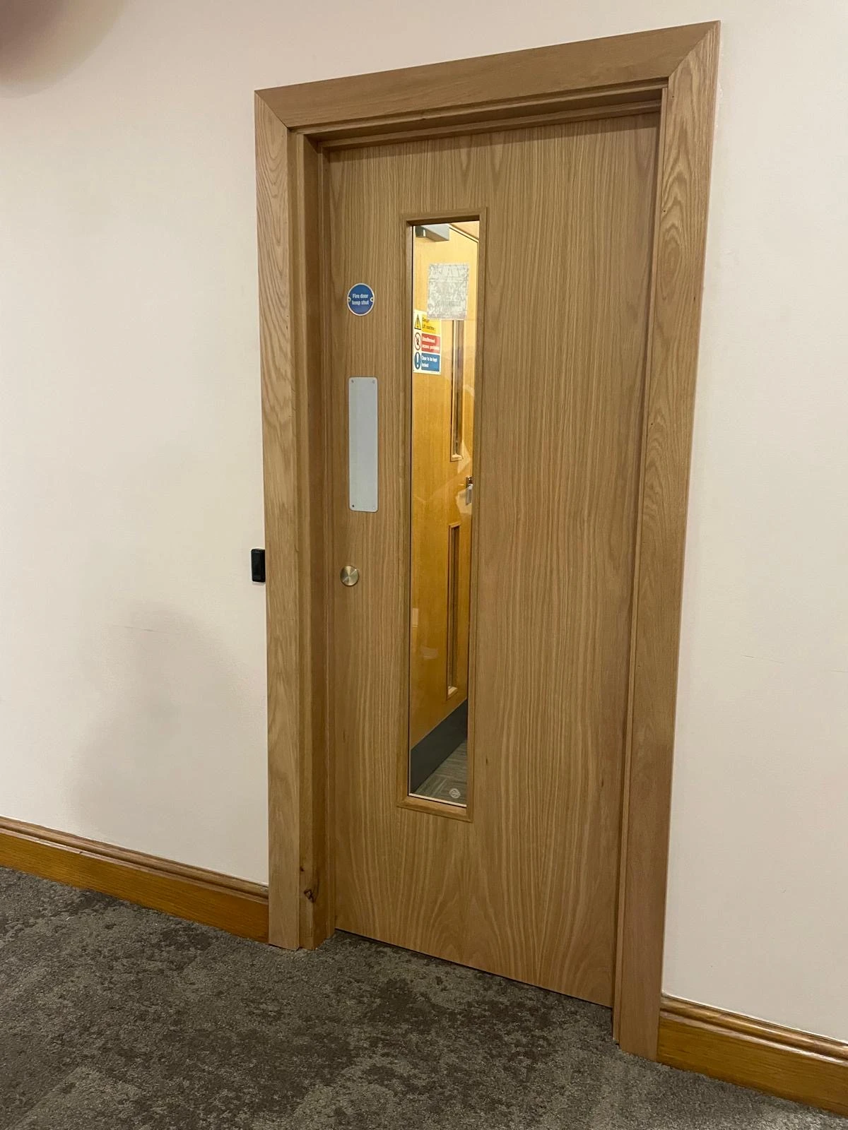 Fire Door - Brown with window