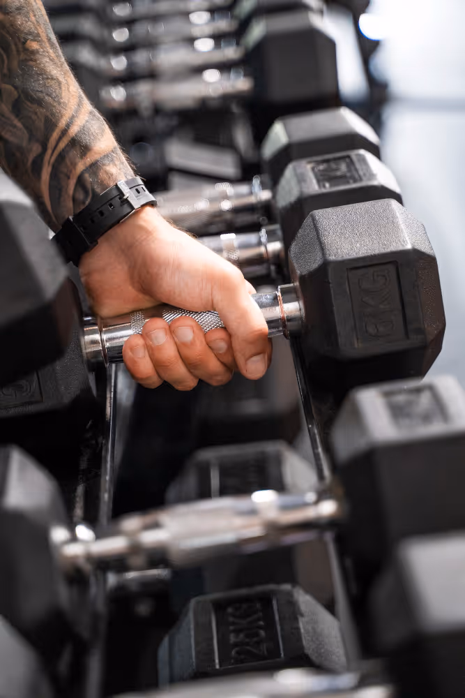 Schaf steht auf einer Wiese bei Sonnenuntergang mit warmem orangefarbenem Licht.