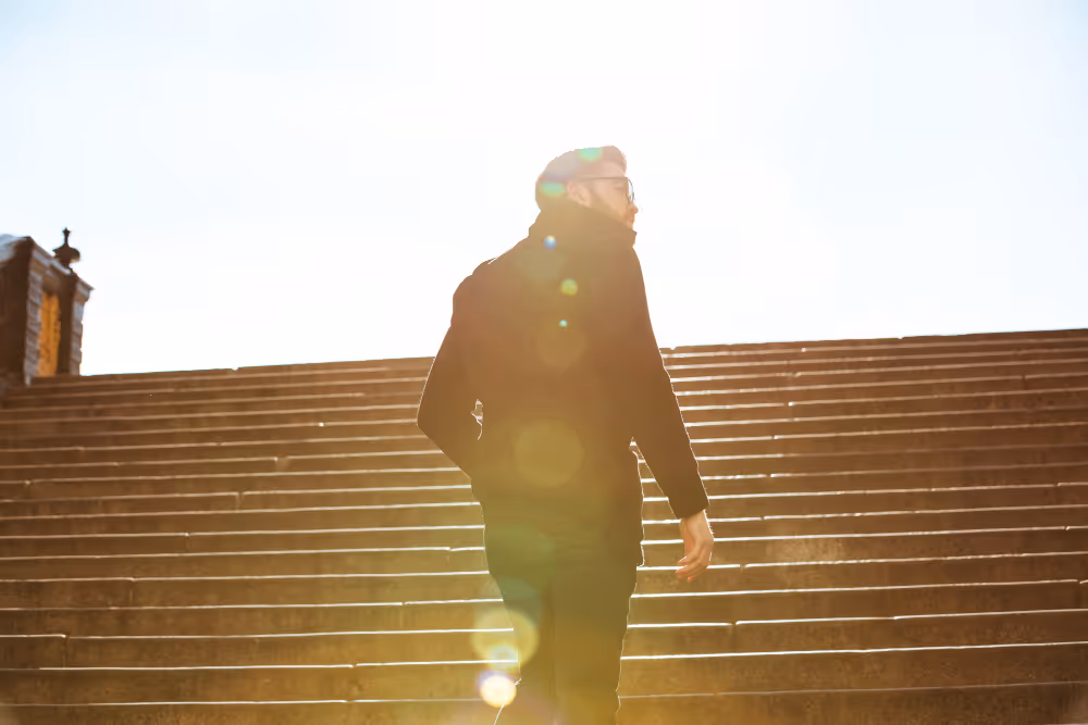 Schaf steht auf einer Wiese bei Sonnenuntergang mit warmem orangefarbenem Licht.