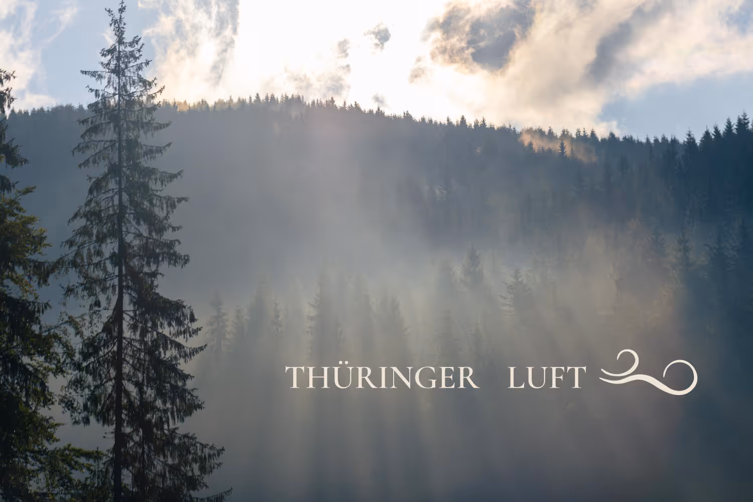 Nebel, der durch einen dichten Fichtenwald auf einem Hügel an einem leicht bewölkten Tag scheint. Lichtstrahlen gehen durch die Wolken und lassen den Wald erstrahlen. Der Schriftzug Thüringer Luft ist zu sehen