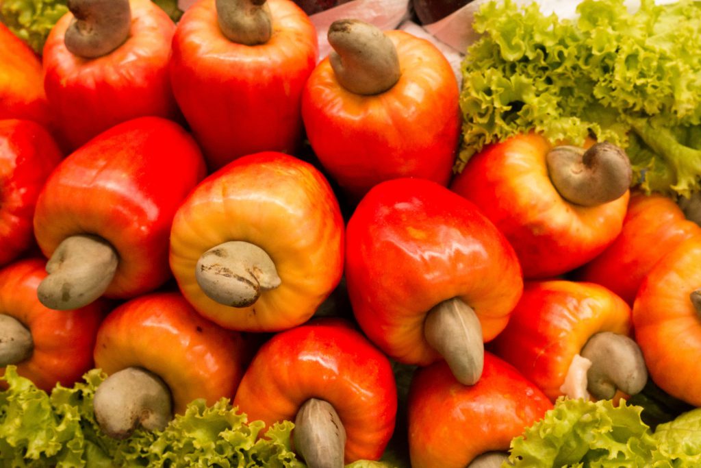 Sunbeth Global Concepts - Cashew - IMage 3