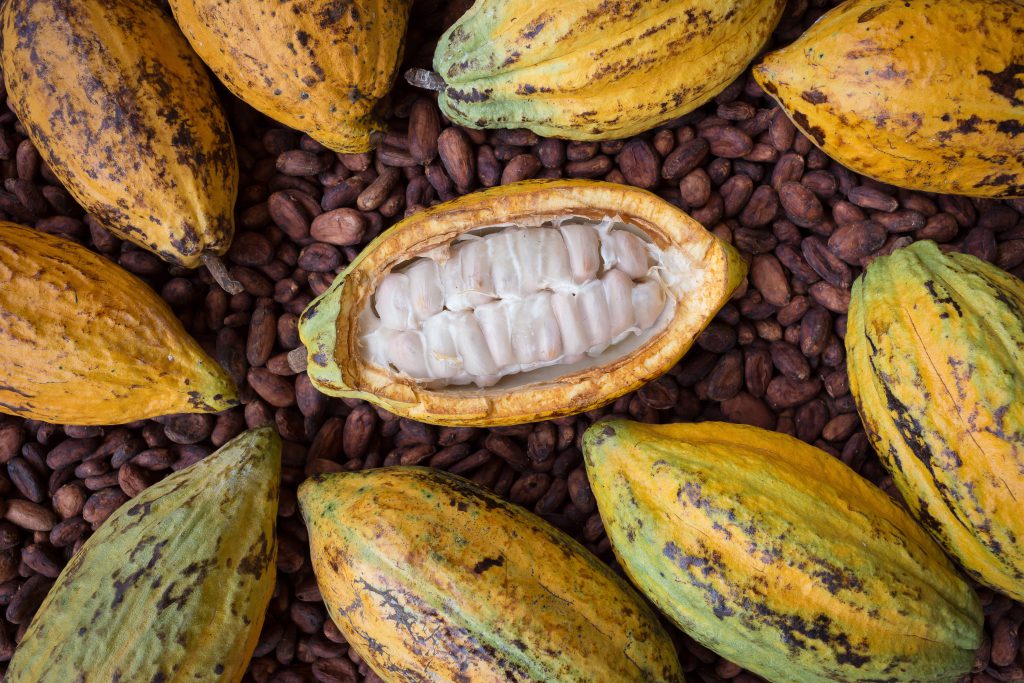 Sunbeth Global Concepts Cocoa Pod