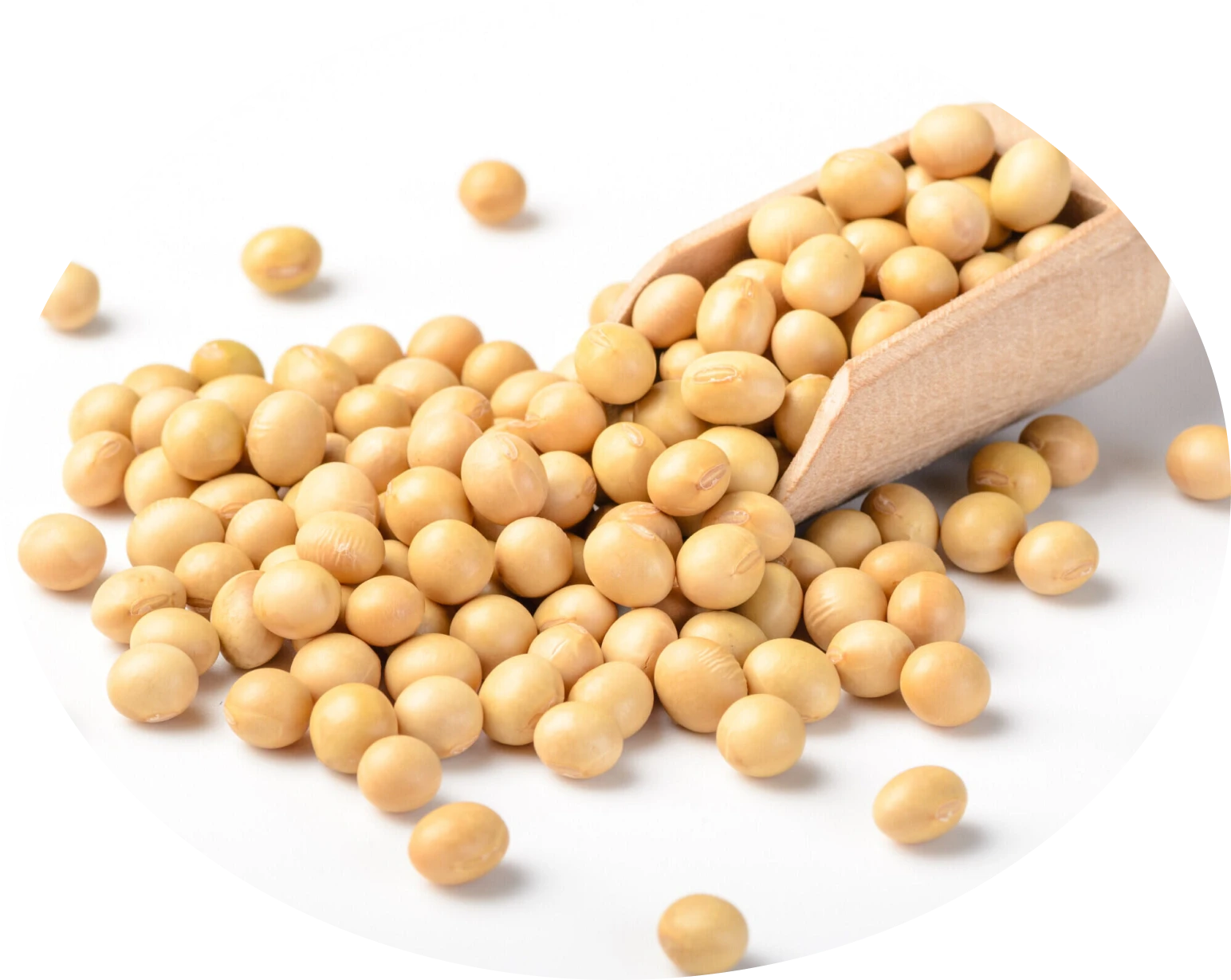Pure Soybeans