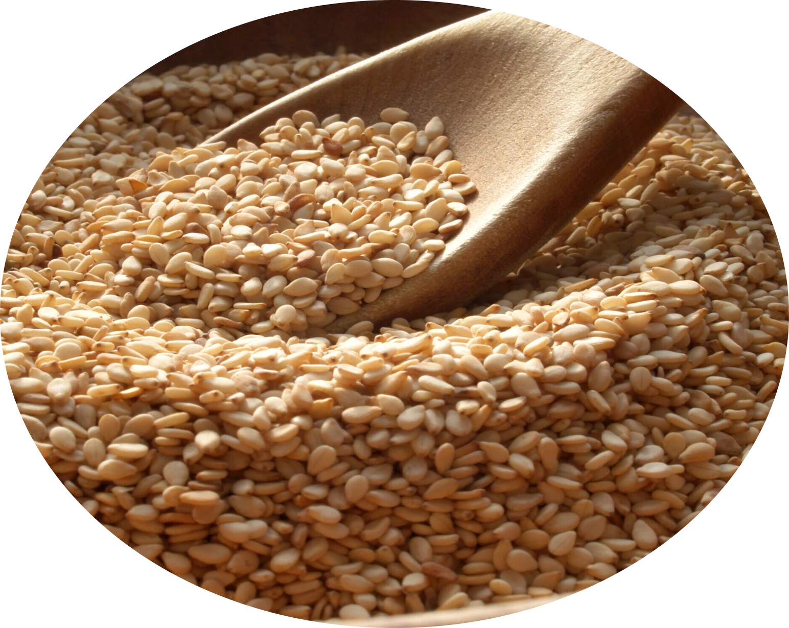 Clean Sesame Seeds