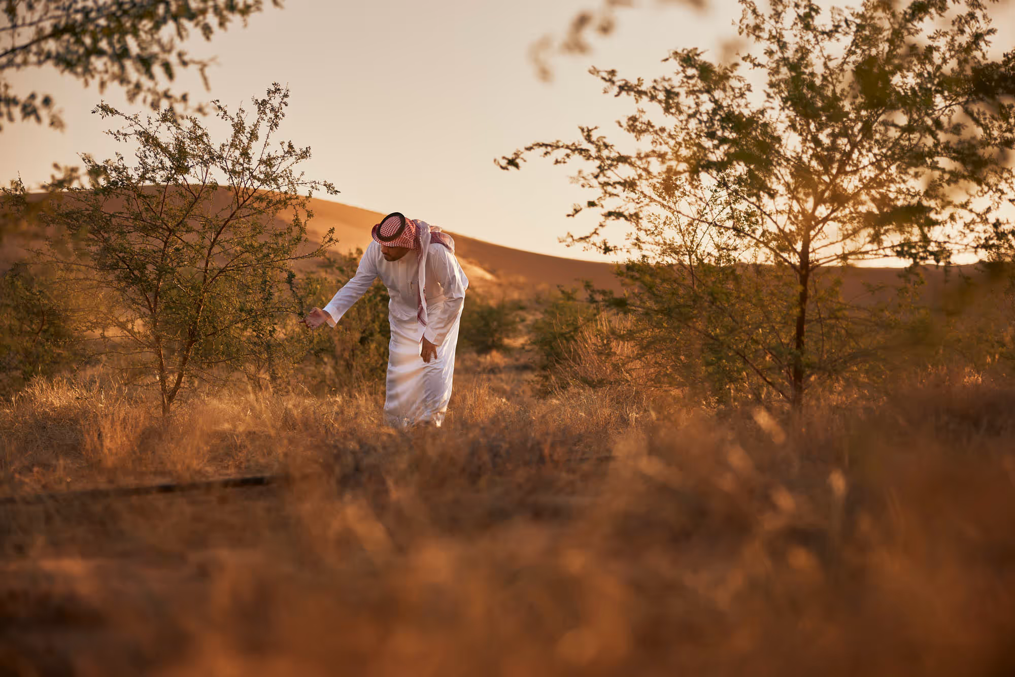 Saudi Green Initiative