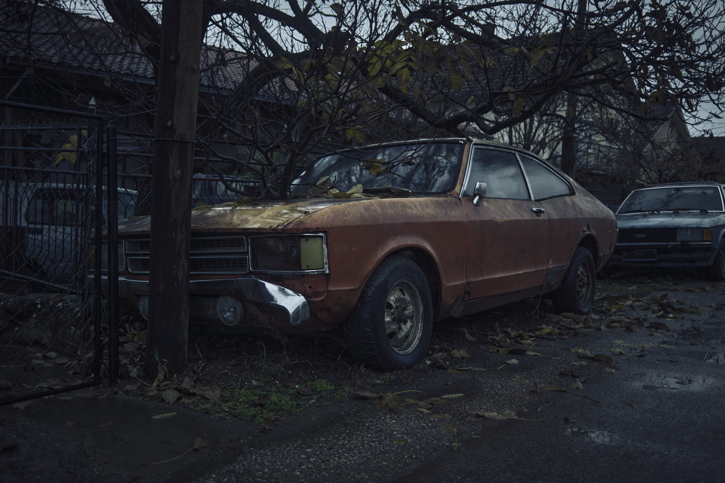 Kraljevo, Serbia, 2025