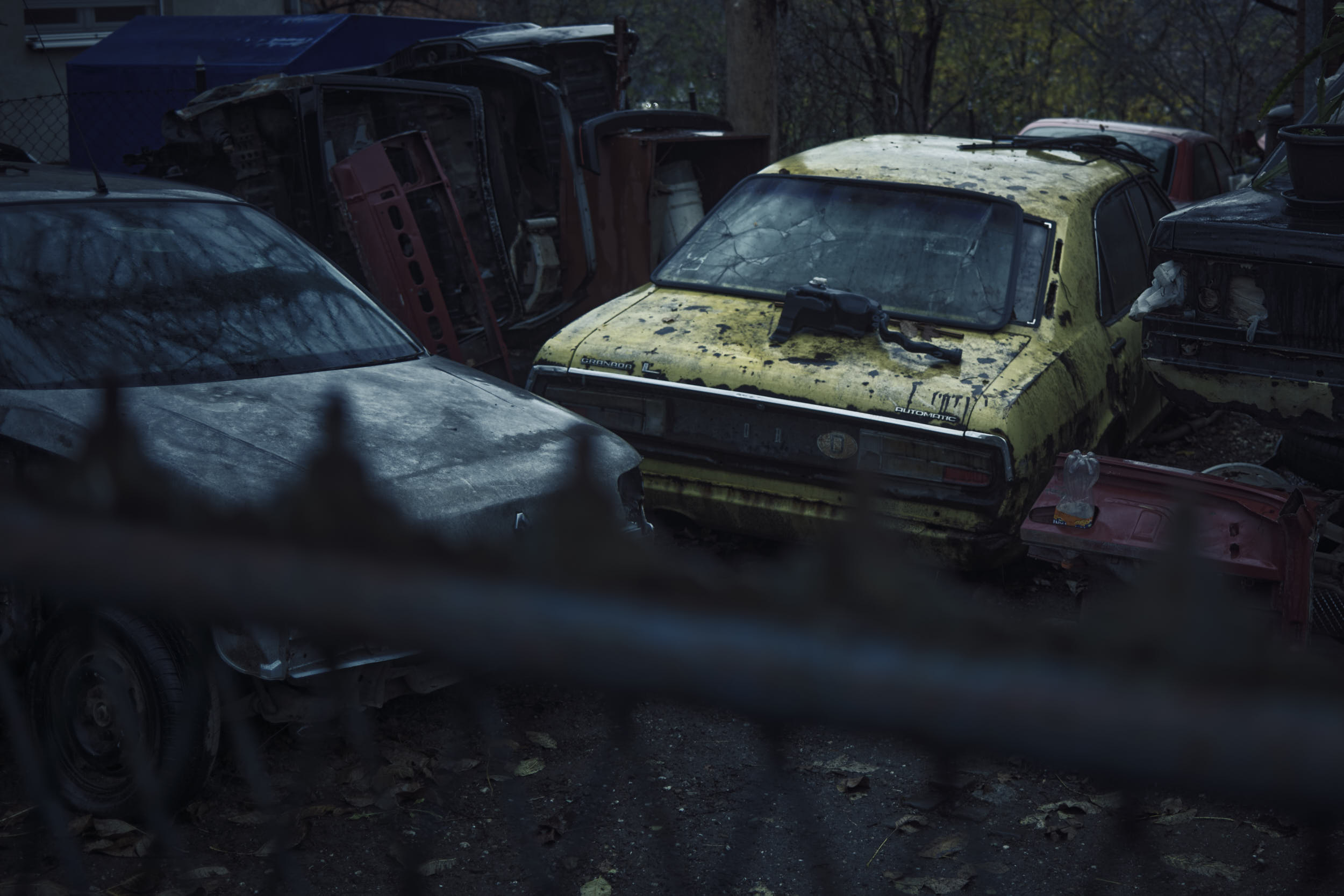 Kraljevo, Serbia, 2025