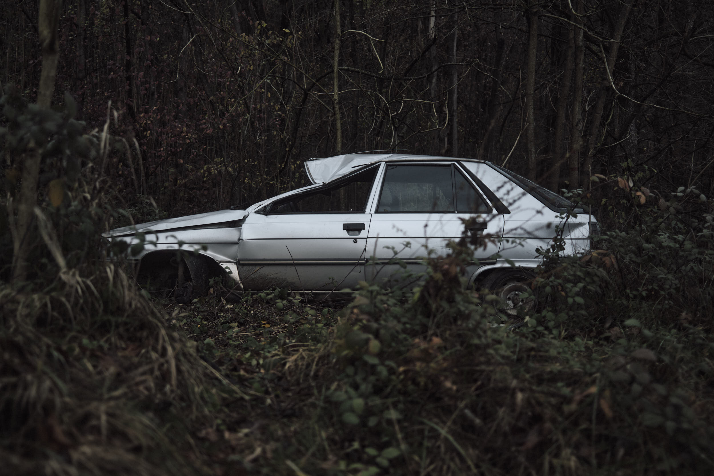 Bukovi, Serbia, 2025