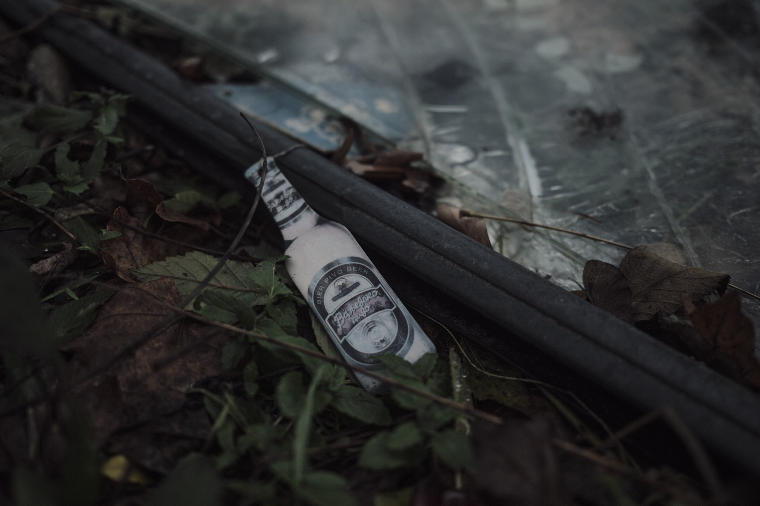 Bukovi, Serbia, 2025