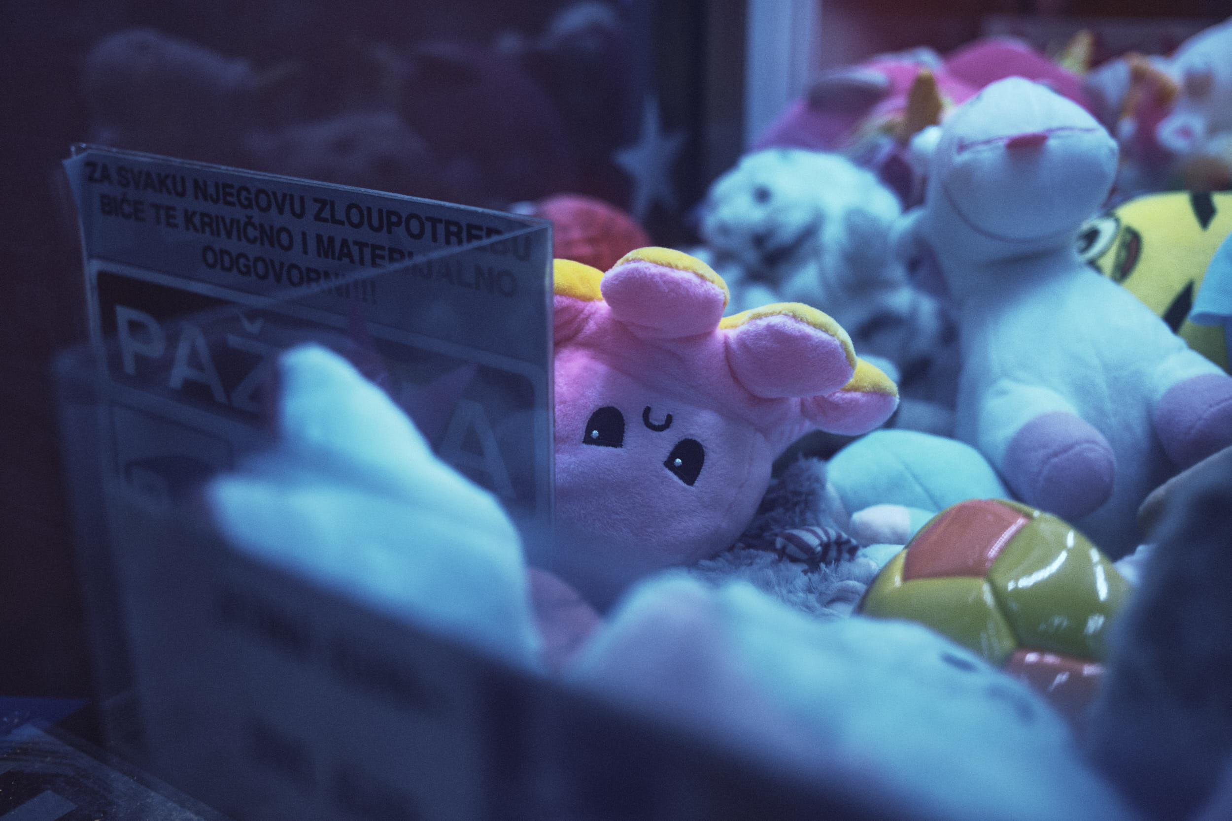 Šabac, Serbia, 2025