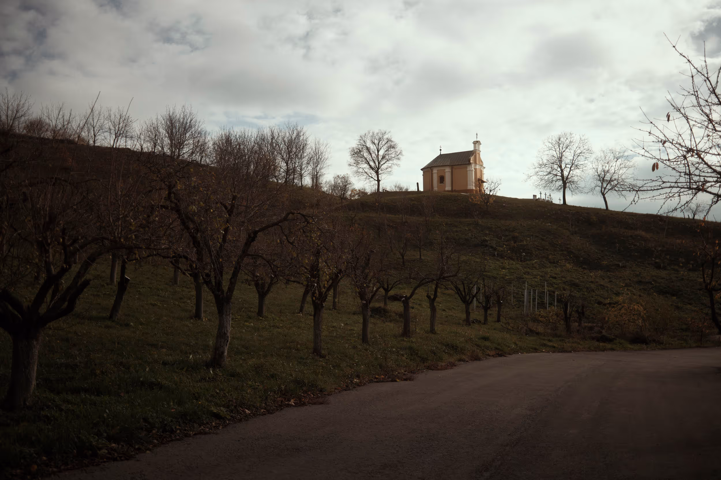 Divoš, Serbia, 2025