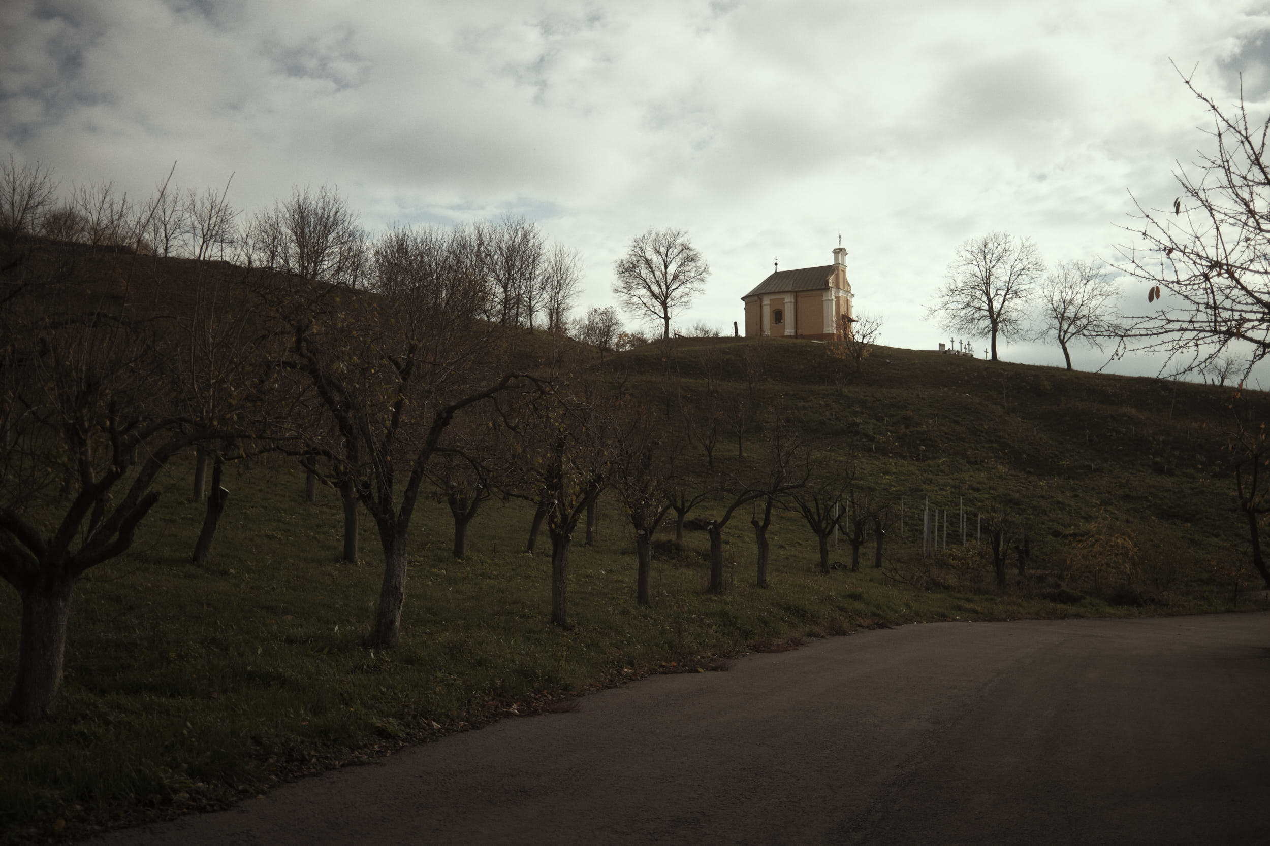 Divoš, Serbia, 2025