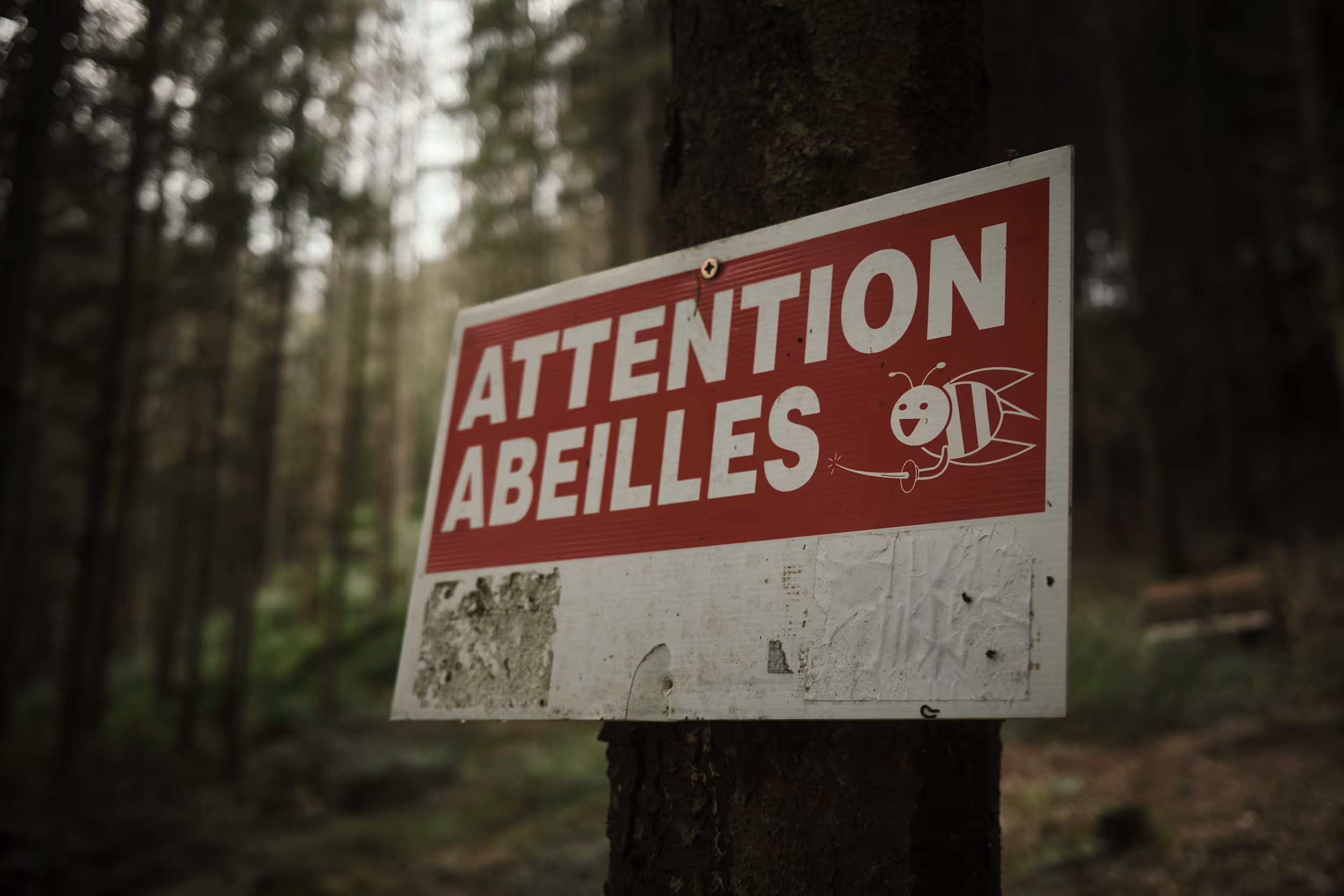 La Roche-en-Ardenne, Belgium, 2024