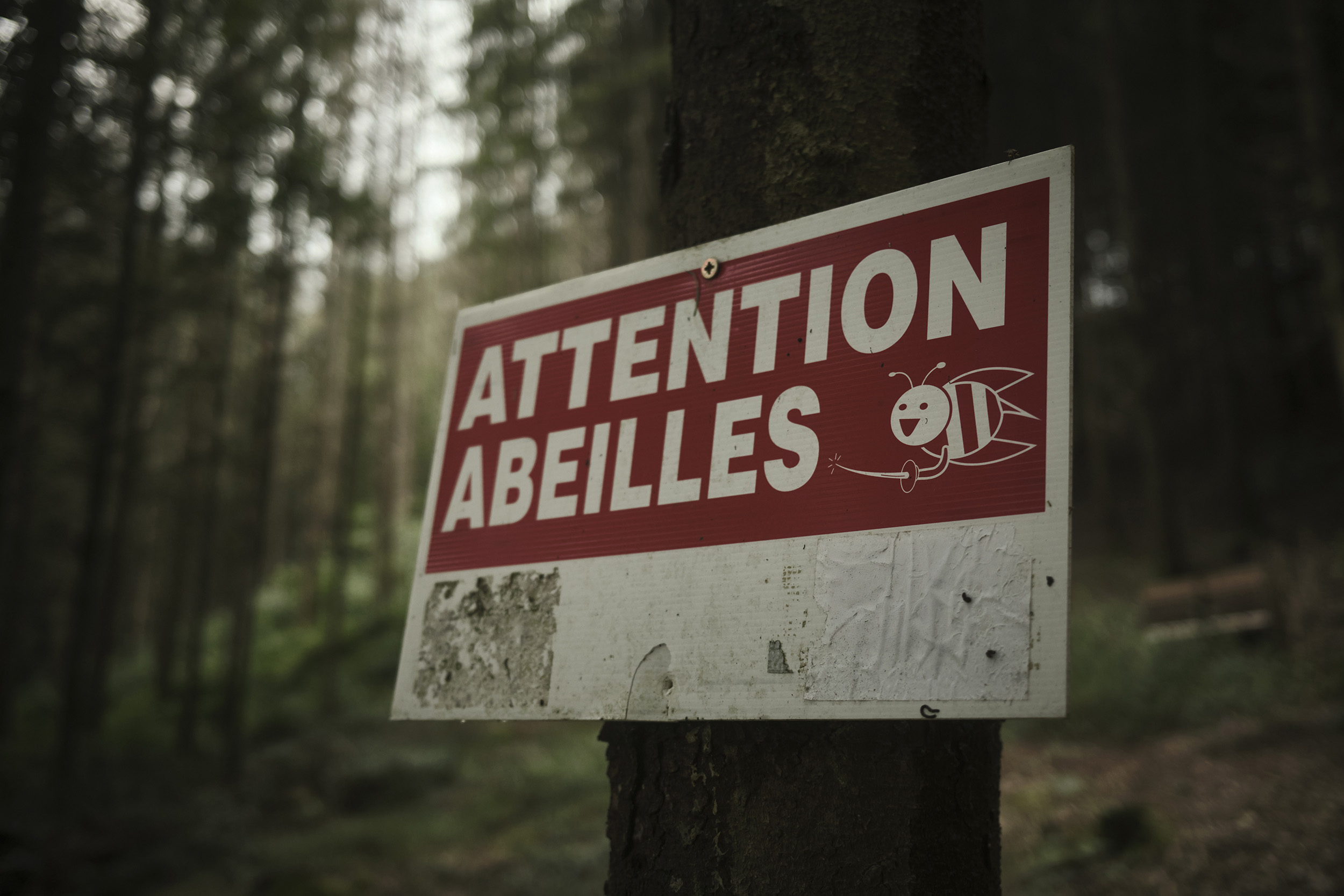 La Roche-en-Ardenne, Belgium, 2024