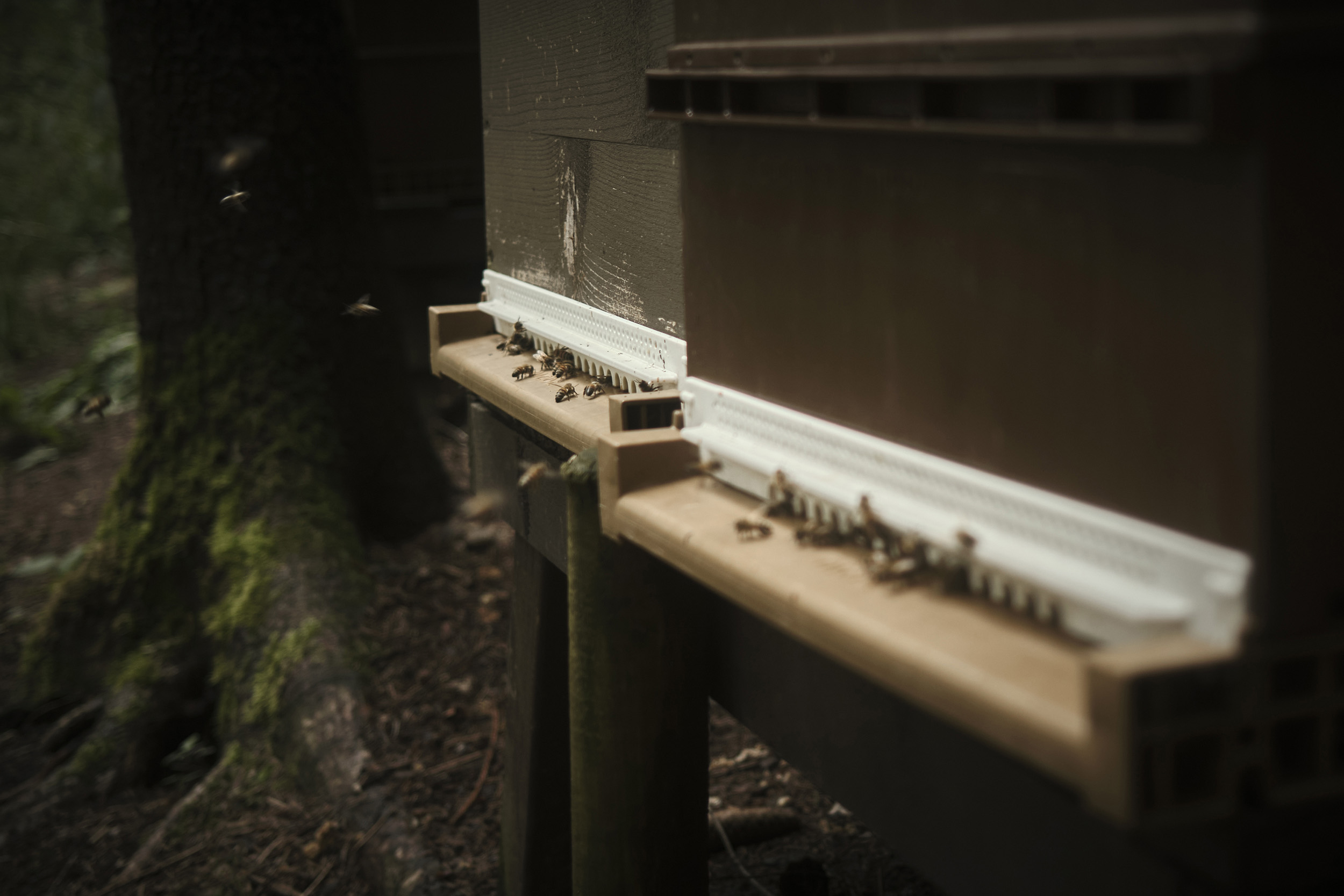 La Roche-en-Ardenne, Belgium, 2024