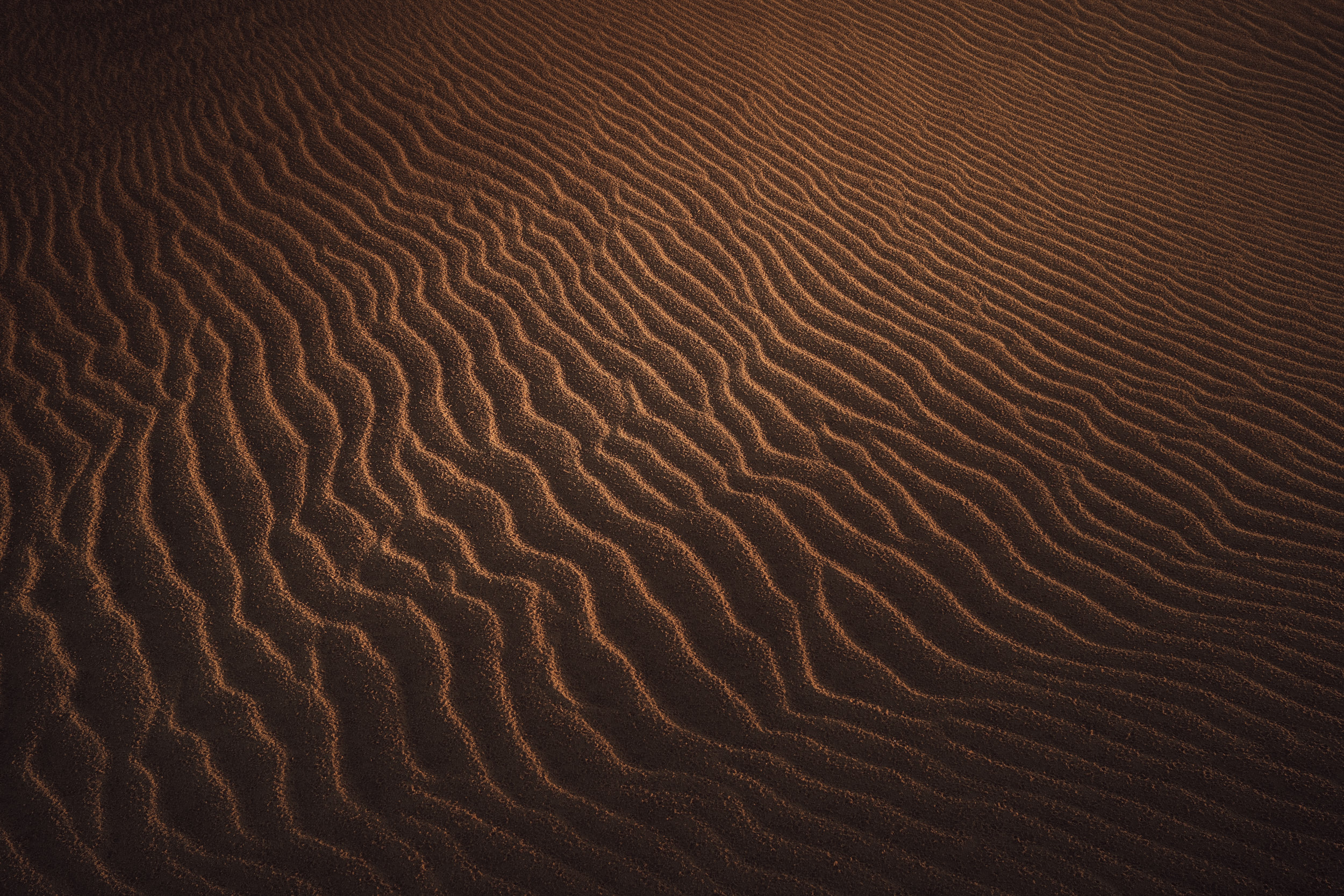 Dune 7, Namibia, April 2026