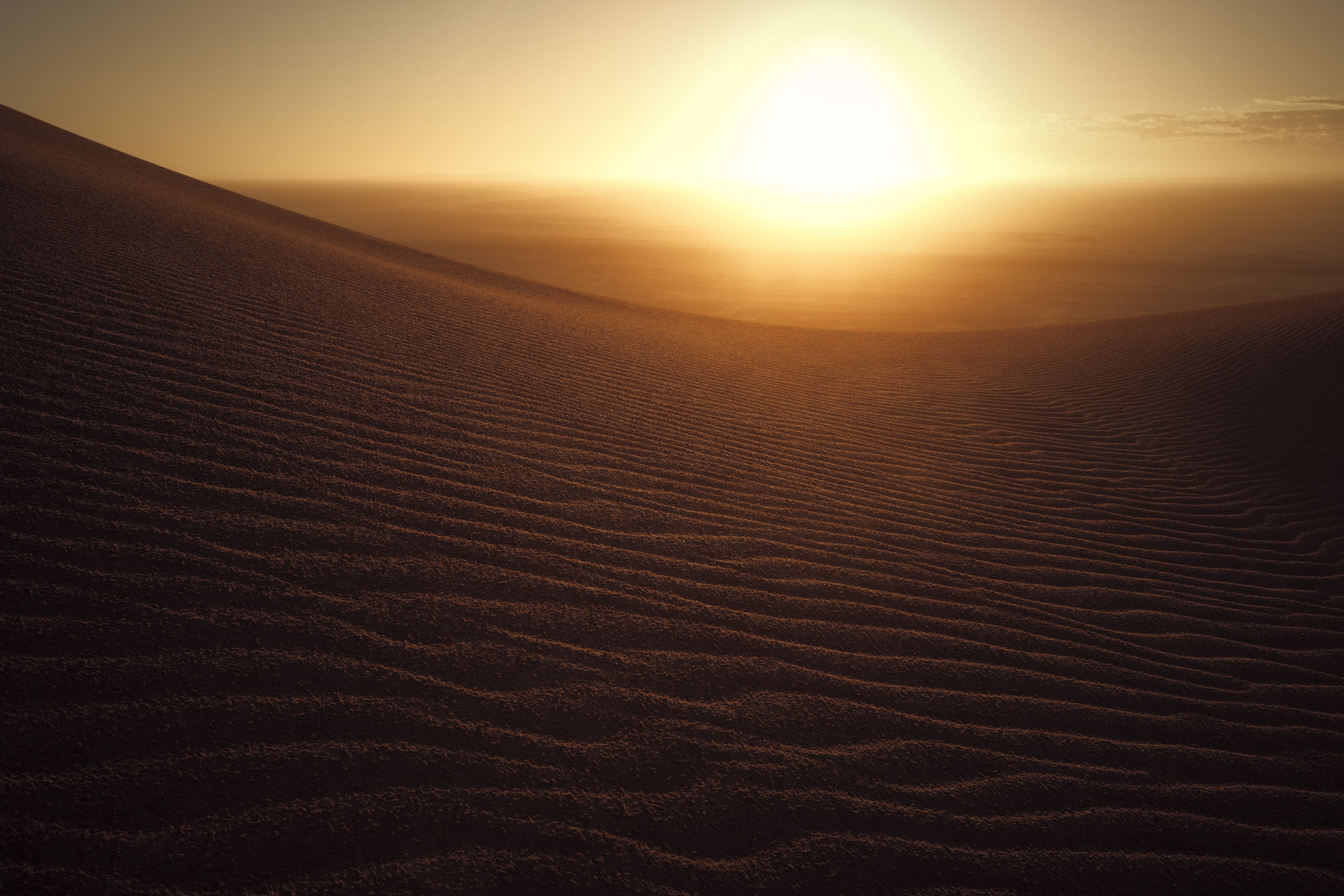 Dune 7, Namibia, April 2026