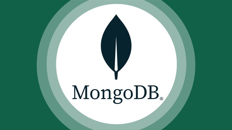Der komplette MongoDB Kurs: Vom Einsteiger zum Profi