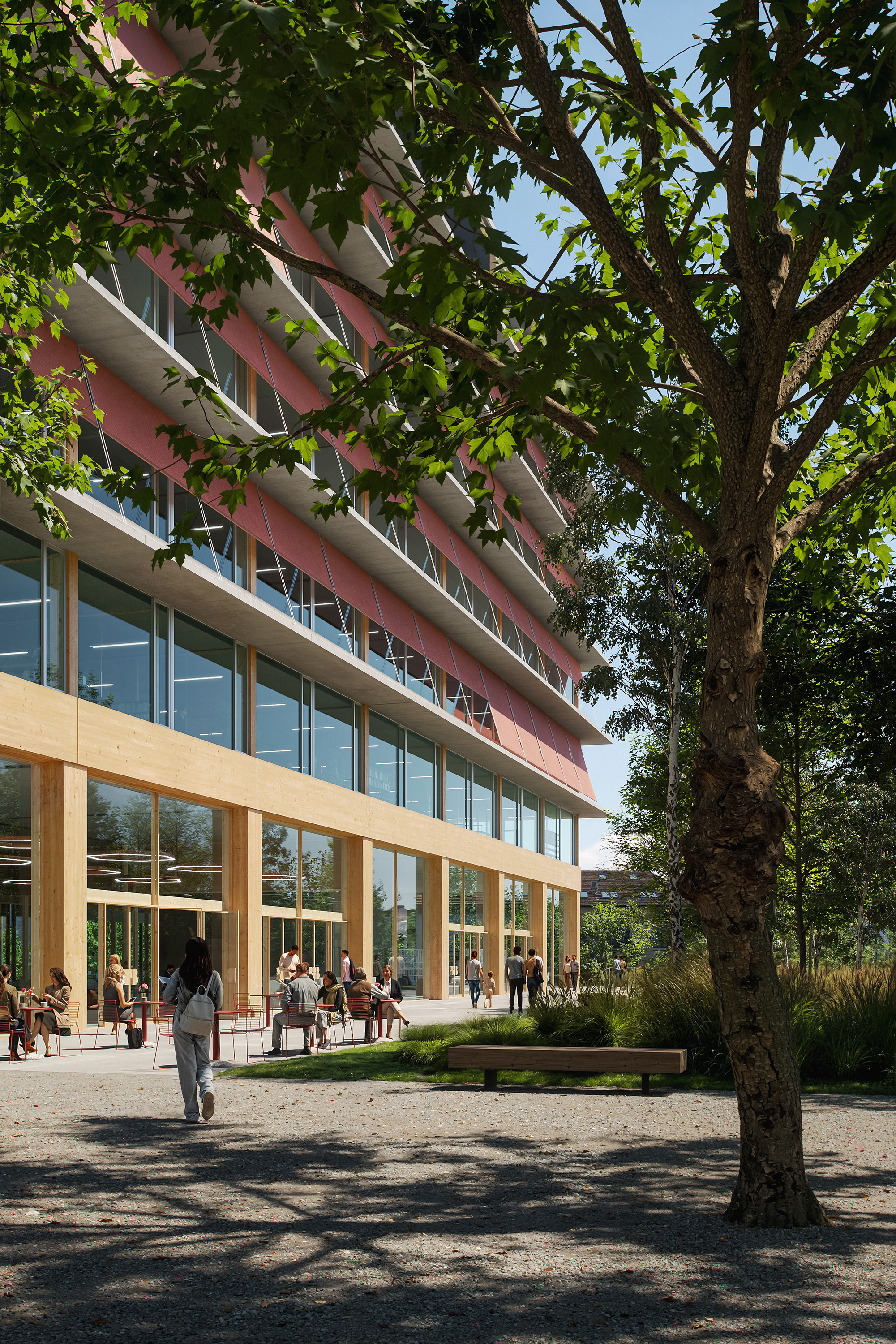 New Municipality Brno