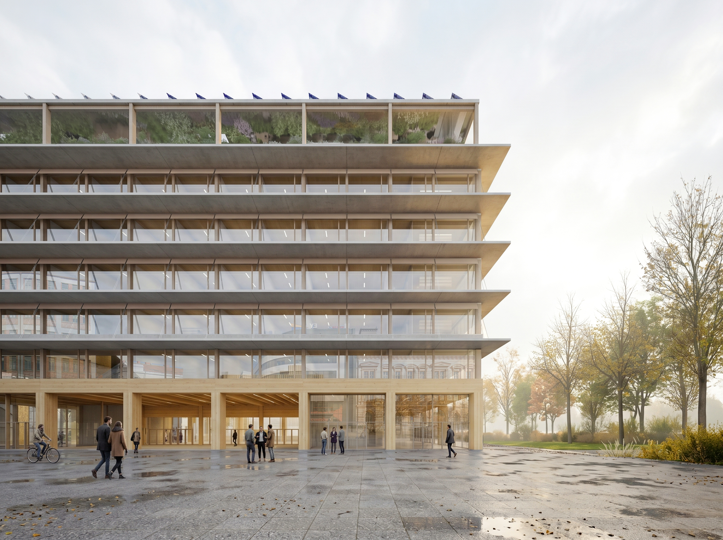 New Municipality Brno
