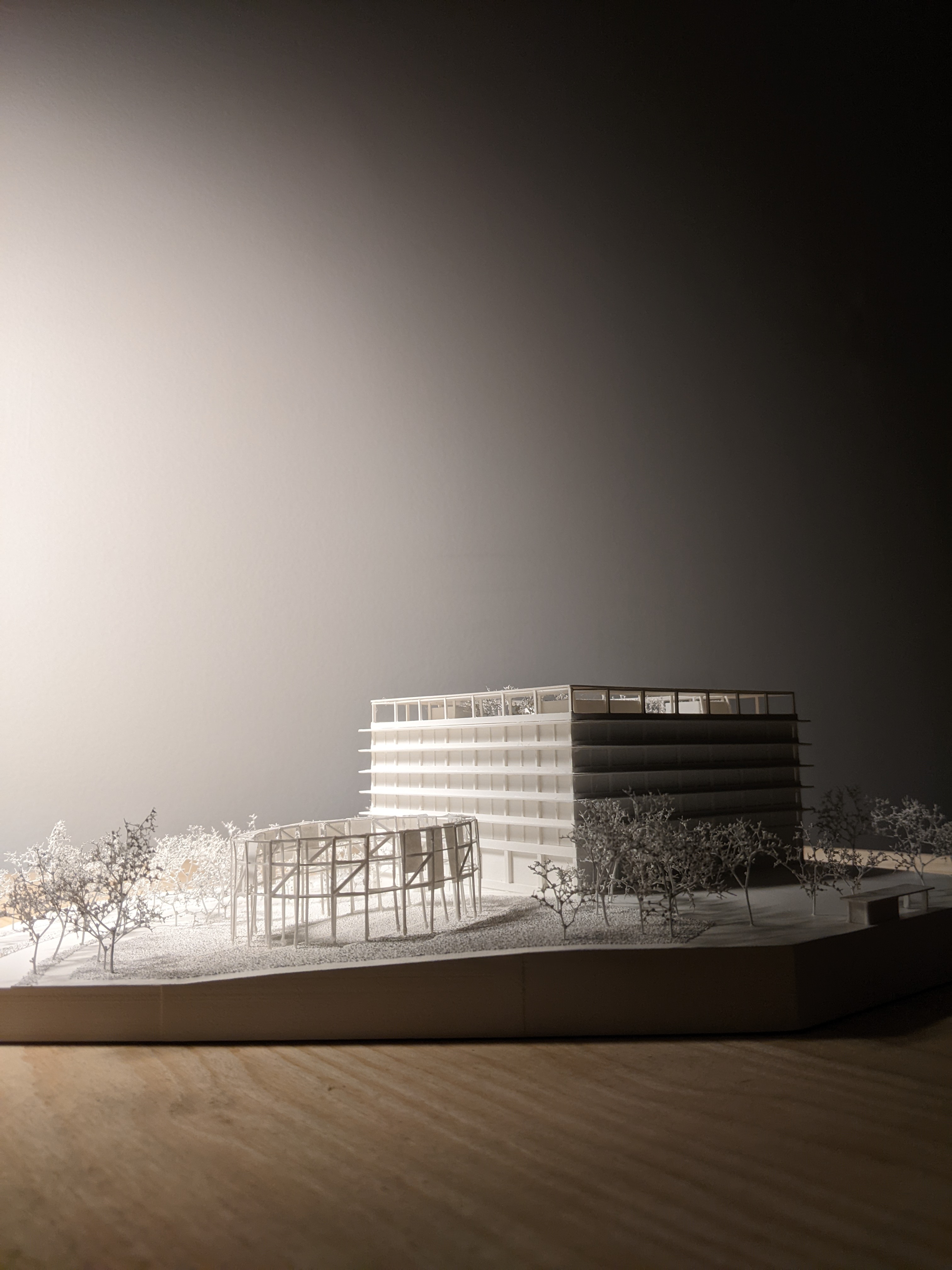 New Municipality Brno