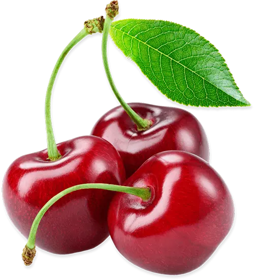 Cherries Abejas Solitarias