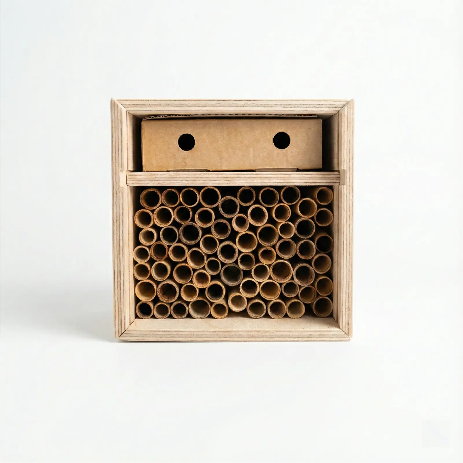 Vista frontal del hotel de abejas solitarias con tubos naturales y caja de cría superior.