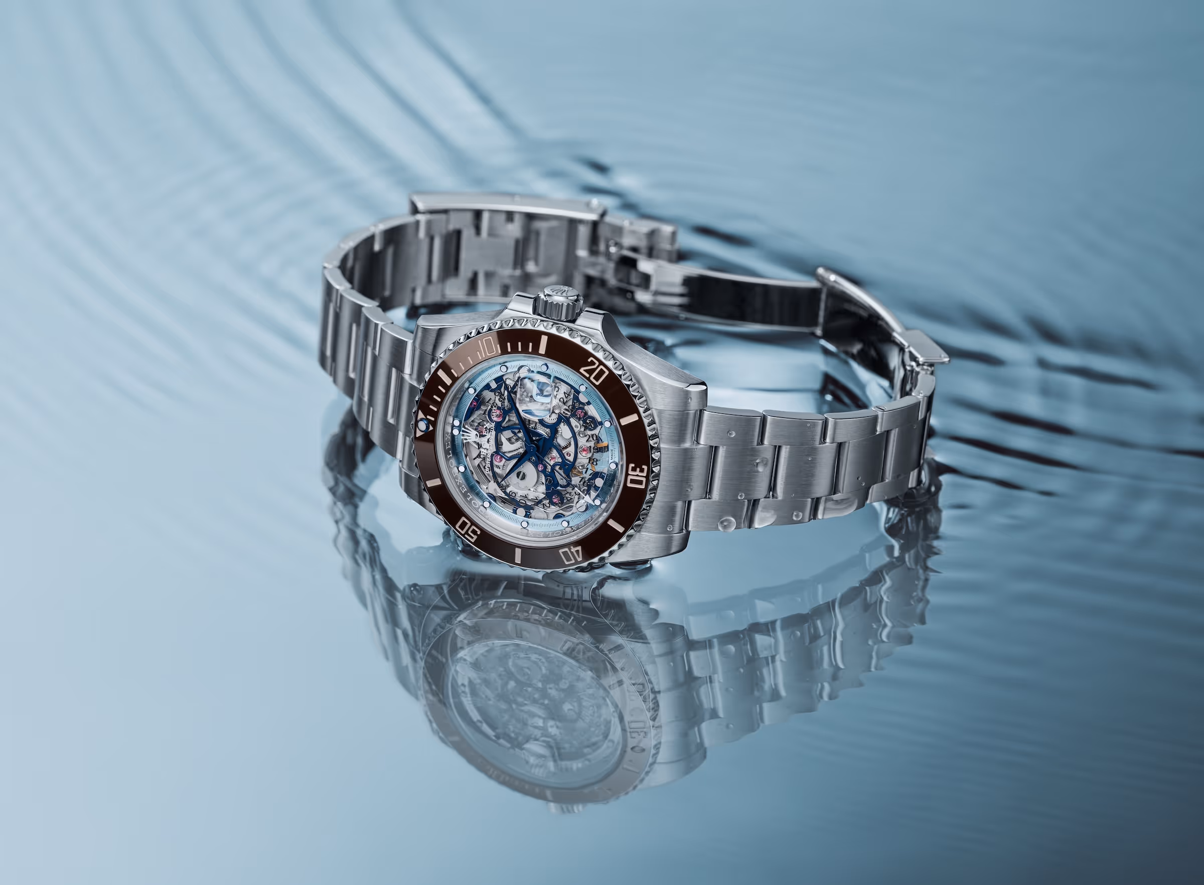 Vue d'ensemble Brownice