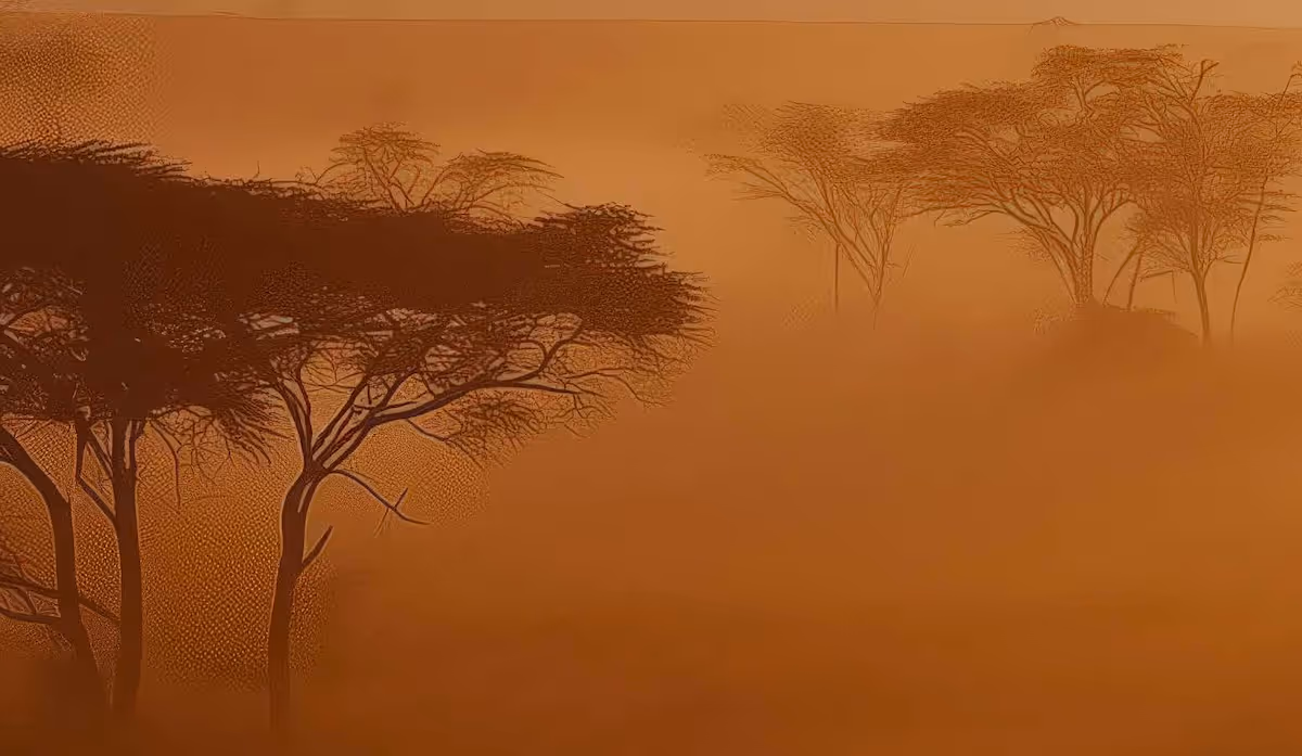 Paysage inspirant Afrika