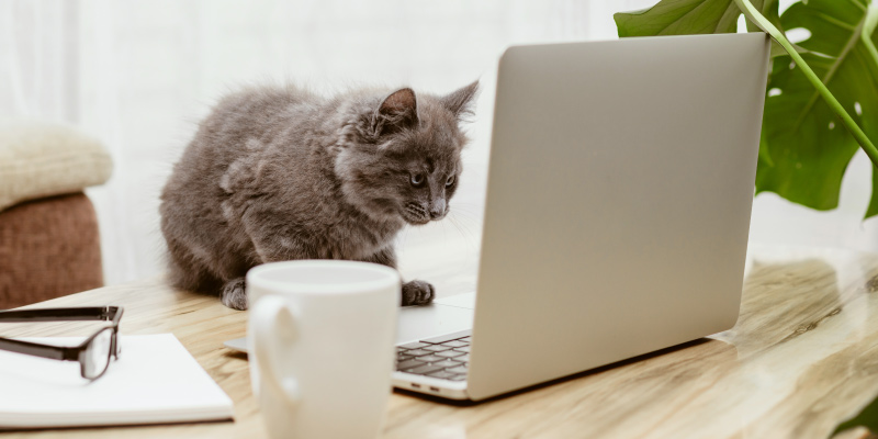 Internet Provider Comparisons