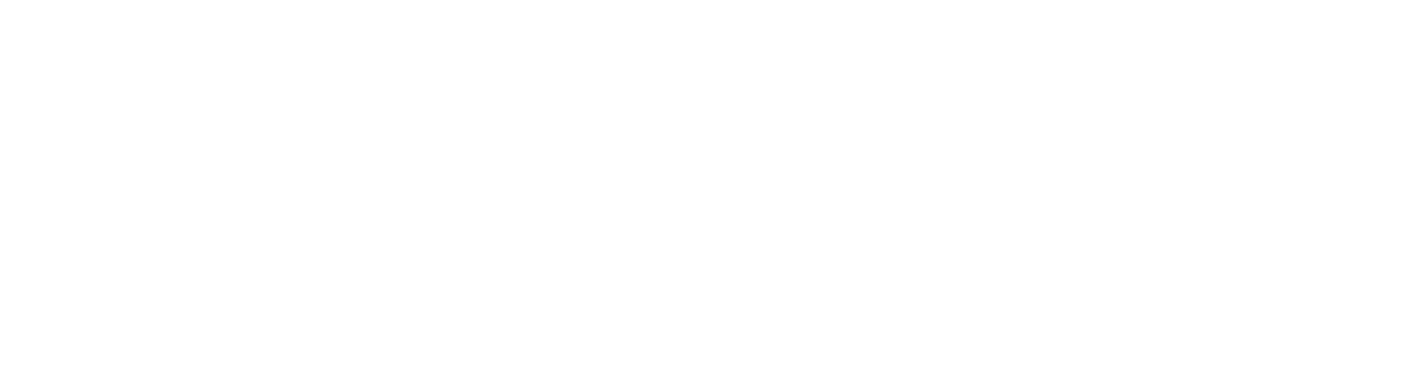 FENECON Logo – Anbieter für Stromspeicher und Energiemanagementsysteme
