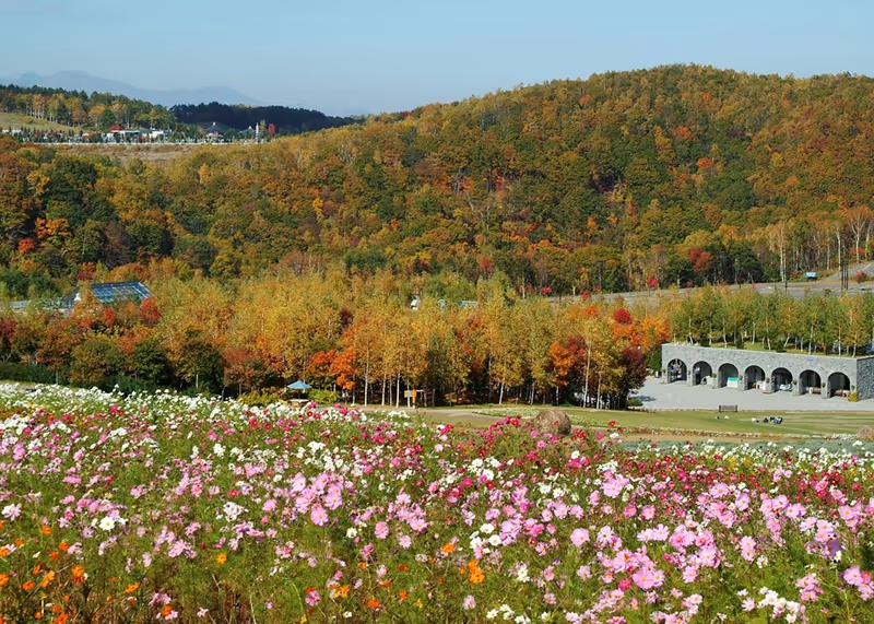 Field of colorful flowers in front of a hillside with autumn foliage and a stone building with arches.