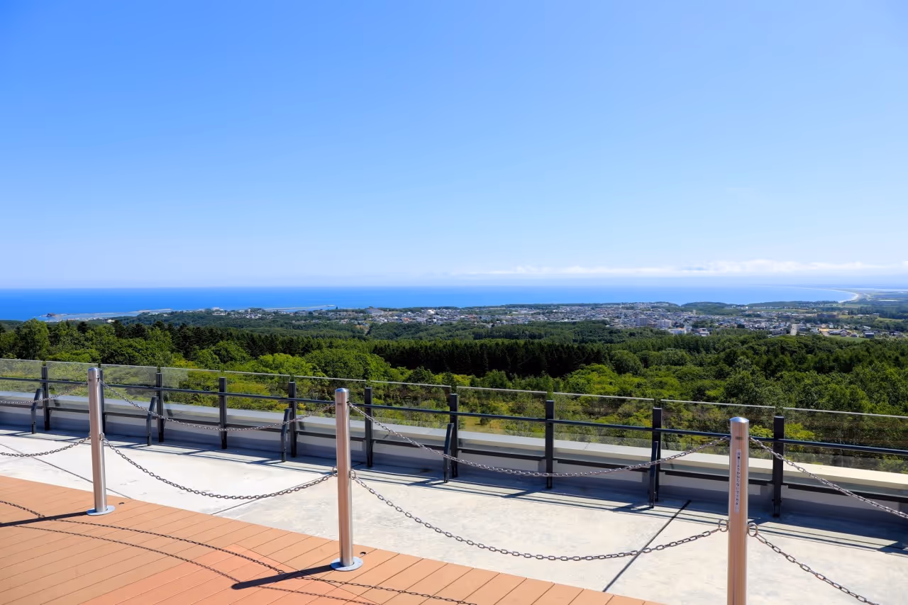 View from an observation deck overlooking dense green forest, a town, and the blue ocean under a clear sky.