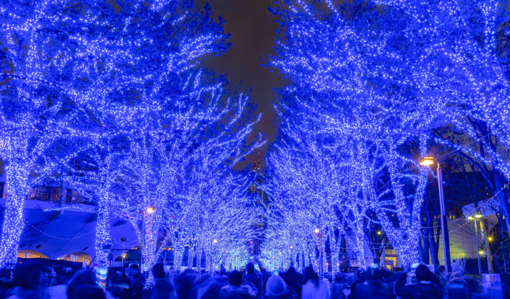 Crowded street lined with trees covered in bright blue holiday lights at night.