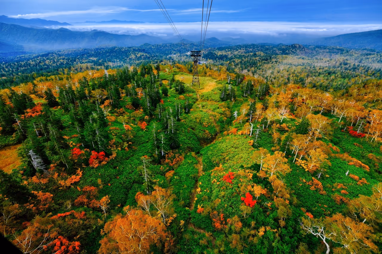Aerial view of colorful autumn forest with green, orange, and red foliage beneath a cable car line and distant mountains under a blue sky.