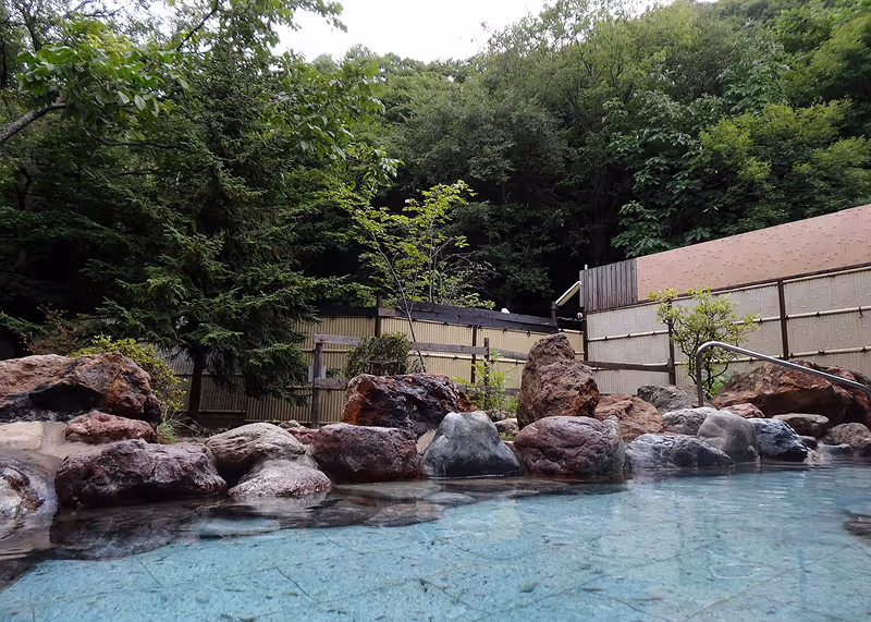 Outdoor hot spring pool surrounded by rocks with lush green forest and wooden fences in the background.