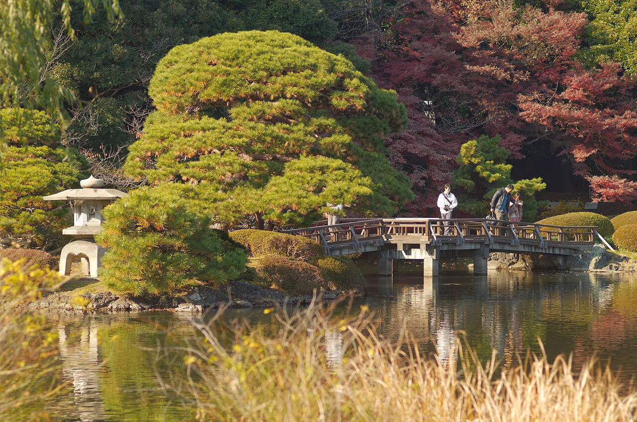 Japanese garden with a wooden bridge over a pond, lush green and red foliage, and a stone lantern on the shore.