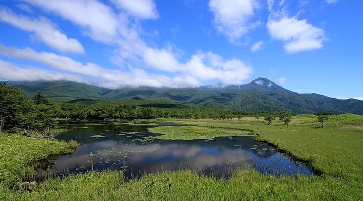 Tranquil pond surrounded by green grass and trees with a mountain range under a partly cloudy blue sky.